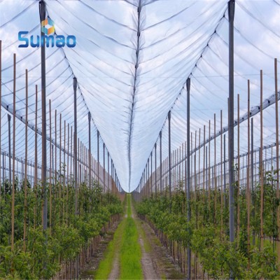 HDPE agriculture vineyard anti hail net