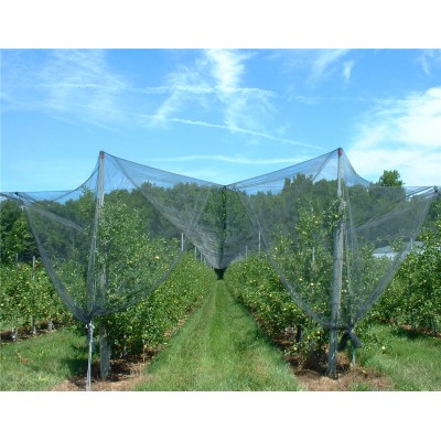 Anti-Hail Net Apple Tree Anti Hail Net