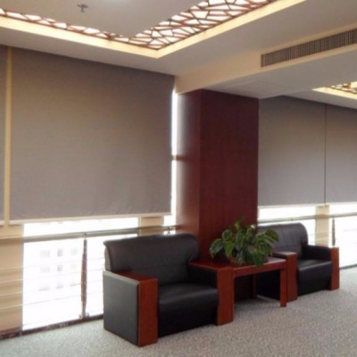 Indoor Window Blinds Pleated Vertical Blinds for Conference